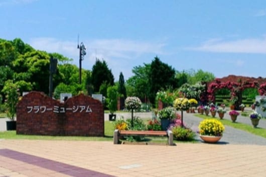 海の中道海浜公園