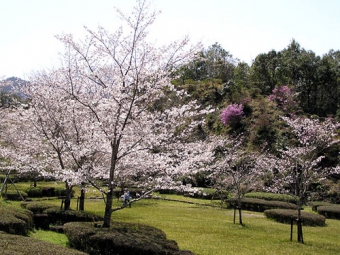 西城公園