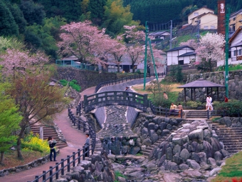 鍋島藩窯公園