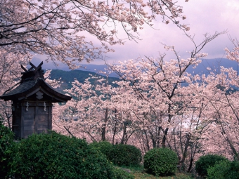 小城公園