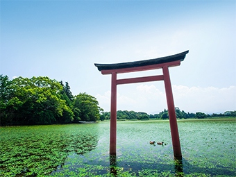 薦（こも）神社