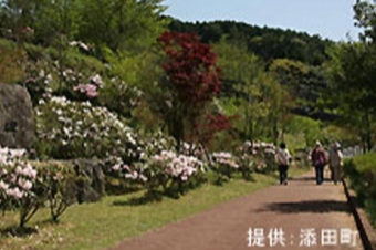 英彦山花園