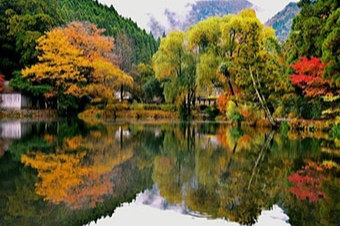 湯布院