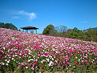 延岡植物園