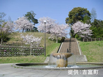 天仲寺公園（天仲寺山）