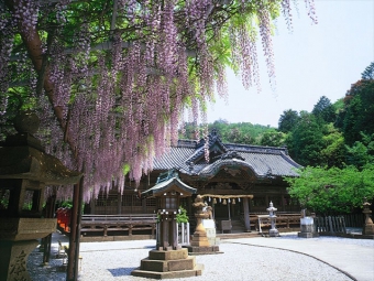 早吸日女神社