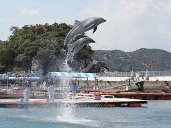 うみたま体験パーク　「つくみイルカ島」