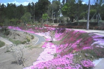 飯高山公園