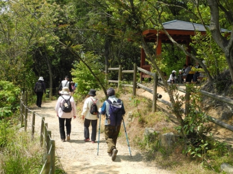 篠栗九大の森