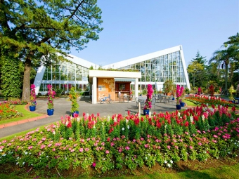 青島亜熱帯植物園