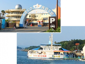 わくわく海中水族館シードーナツ