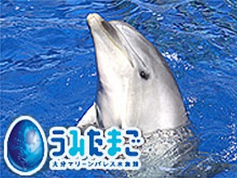 大分マリーンパレス水族館「うみたまご」