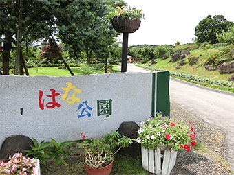 福智山ろく花公園