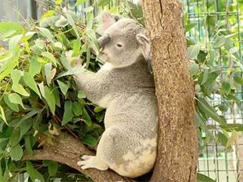 平川動物公園