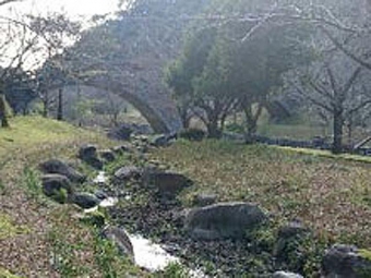 清水の湧水