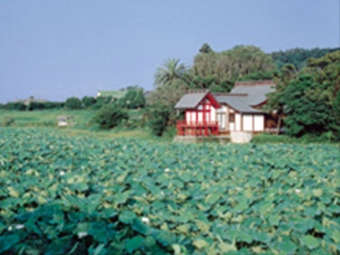 湖水ヶ池公園