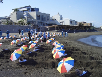 指宿砂蒸温泉