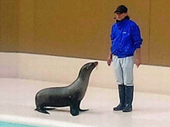 宮島水族館（みやじマリン）