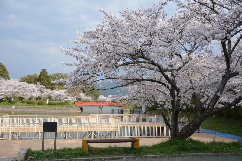 甘木公園