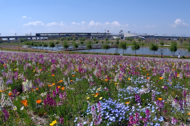 筑後広域公園