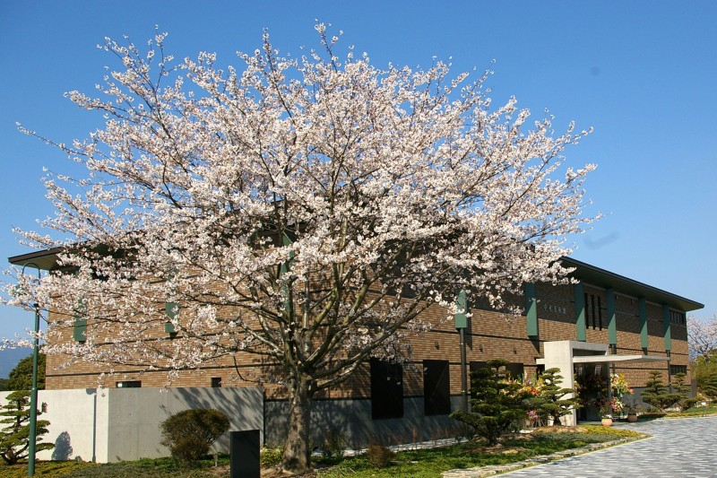 中村美術館（池のおく園)