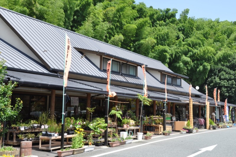 道の駅たちばな