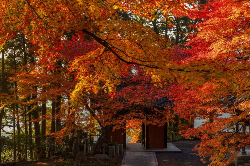 大興善寺