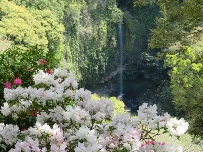 裏見の滝　自然花苑