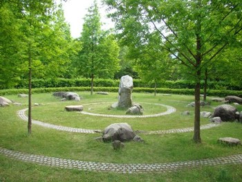 太古の森(メタセコイアの森)