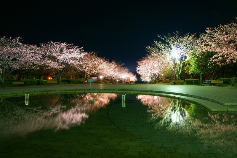 久峰総合公園