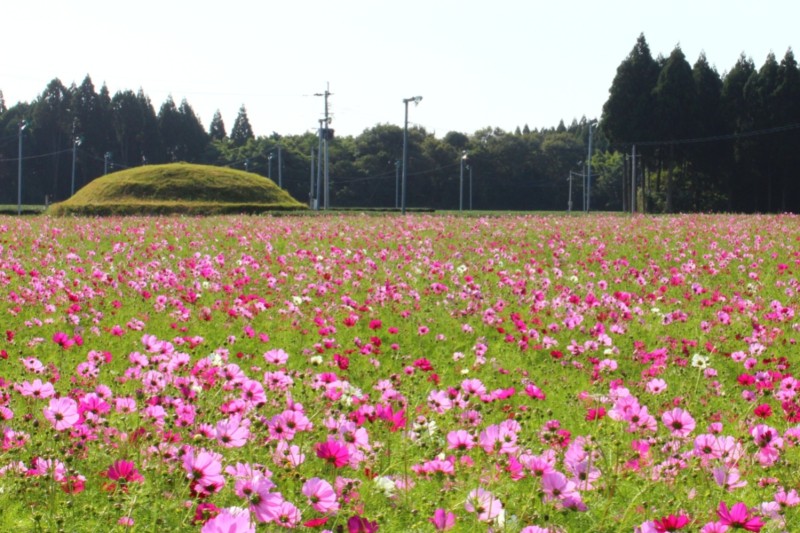 持田古墳群