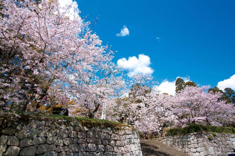 舞鶴公園