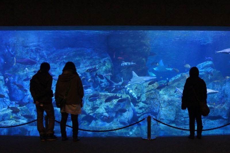 大分マリーンパレス水族館「うみたまご」
