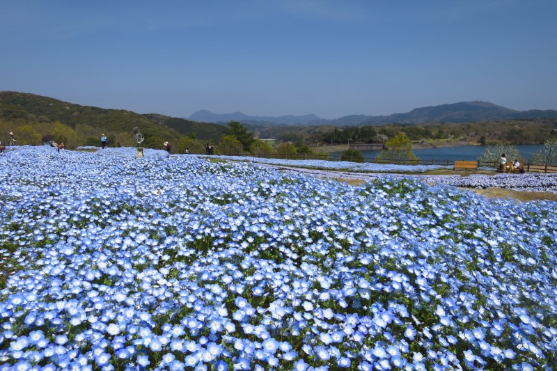 大分農業文化公園