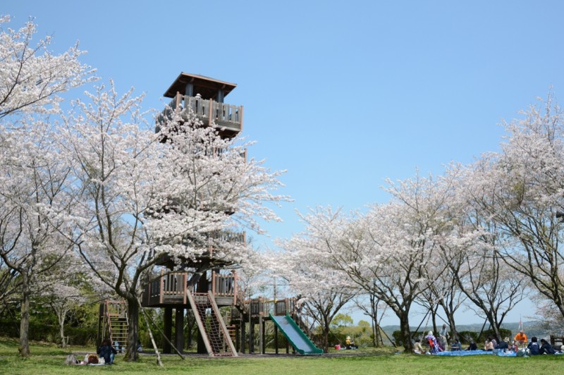 城山公園(一宇治城跡)