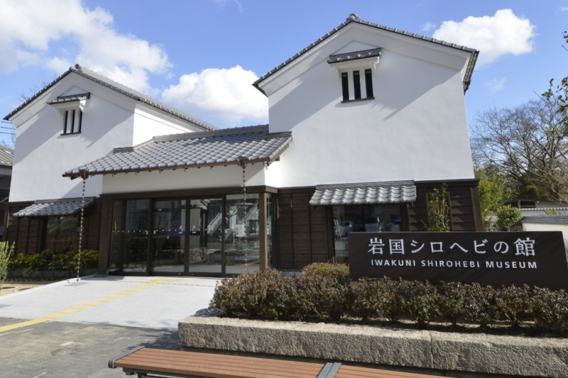 岩国シロヘビの館