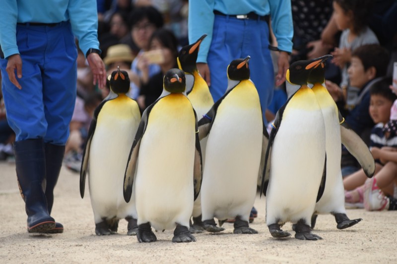 長崎ペンギン水族館