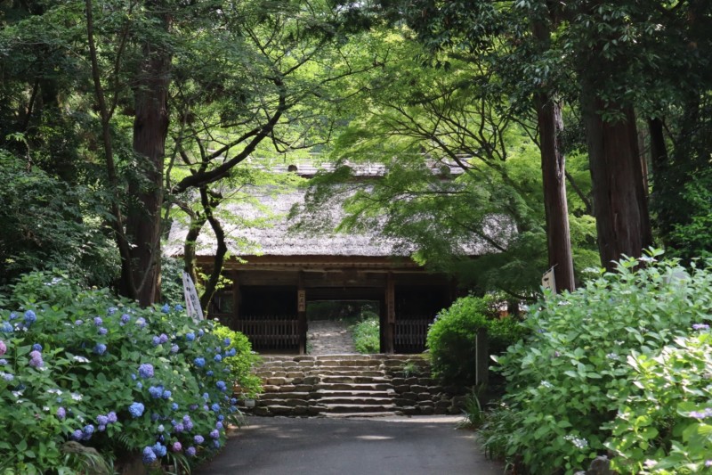東大寺別院阿弥陀寺