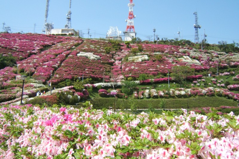大平山山頂公園