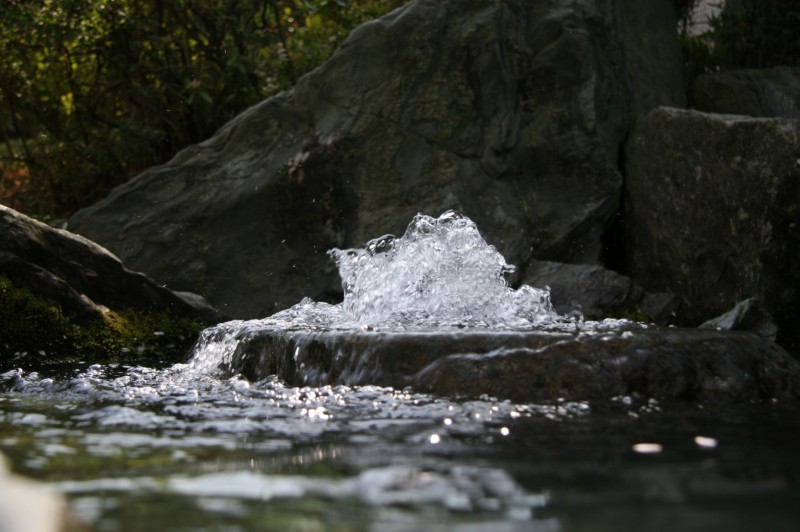 西条の名水「うちぬき」