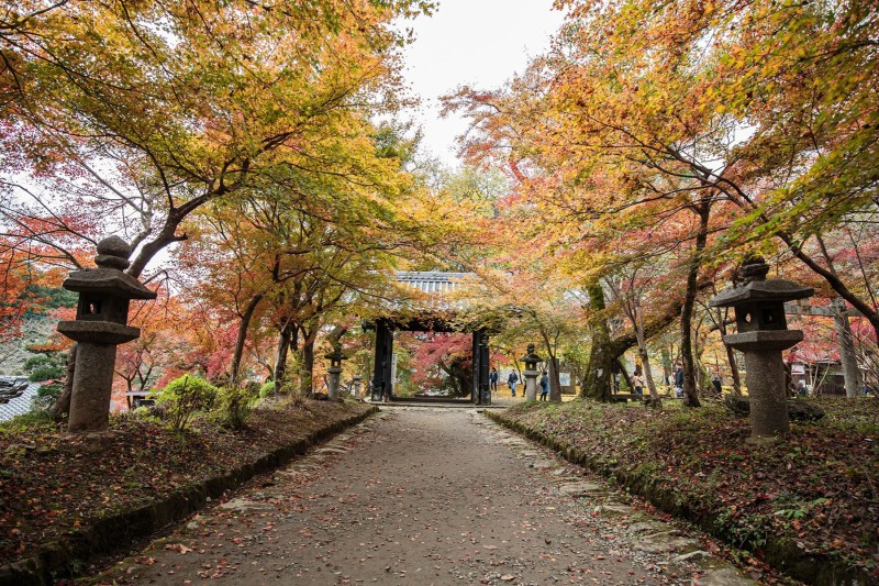 秋月城跡　黒門