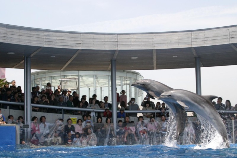 大分マリーンパレス水族館「うみたまご」