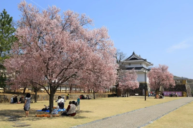 甲府城跡（舞鶴城公園）